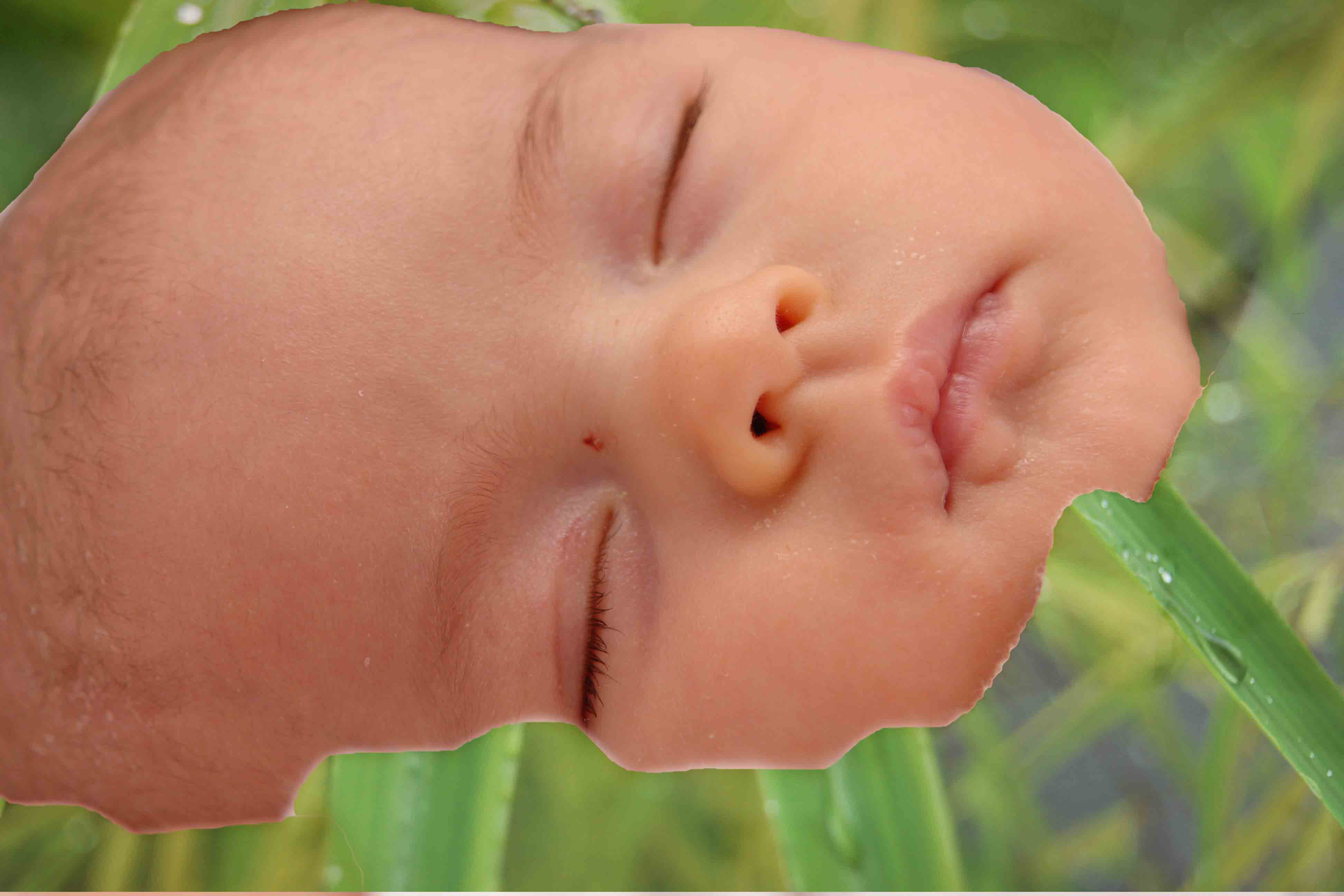 Vauva nukkuu bambutausta