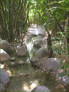 Puro bambumets&auml;ss&auml;